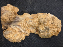 Box Elder Burl cap