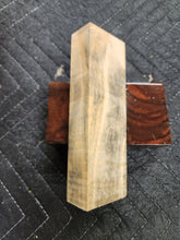 Horse Chestnut Curly Knife Scale