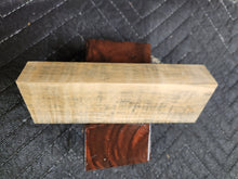 Horse Chestnut Curly Knife Scale