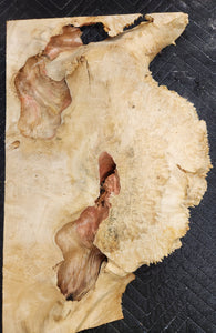 Box Elder Burl Slab
