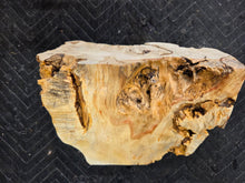 Box Elder Burl cap
