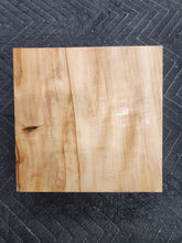 Horse Chestnut
