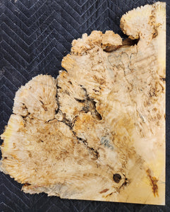 Box Elder Burl Slab