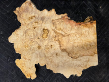 Box Elder Burl cap