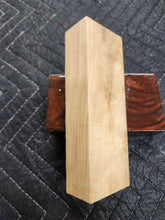 Horse Chestnut Curly Knife Scale