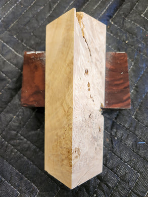 Box elder Burl