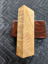 Horse Chestnut Curly Knife Scale