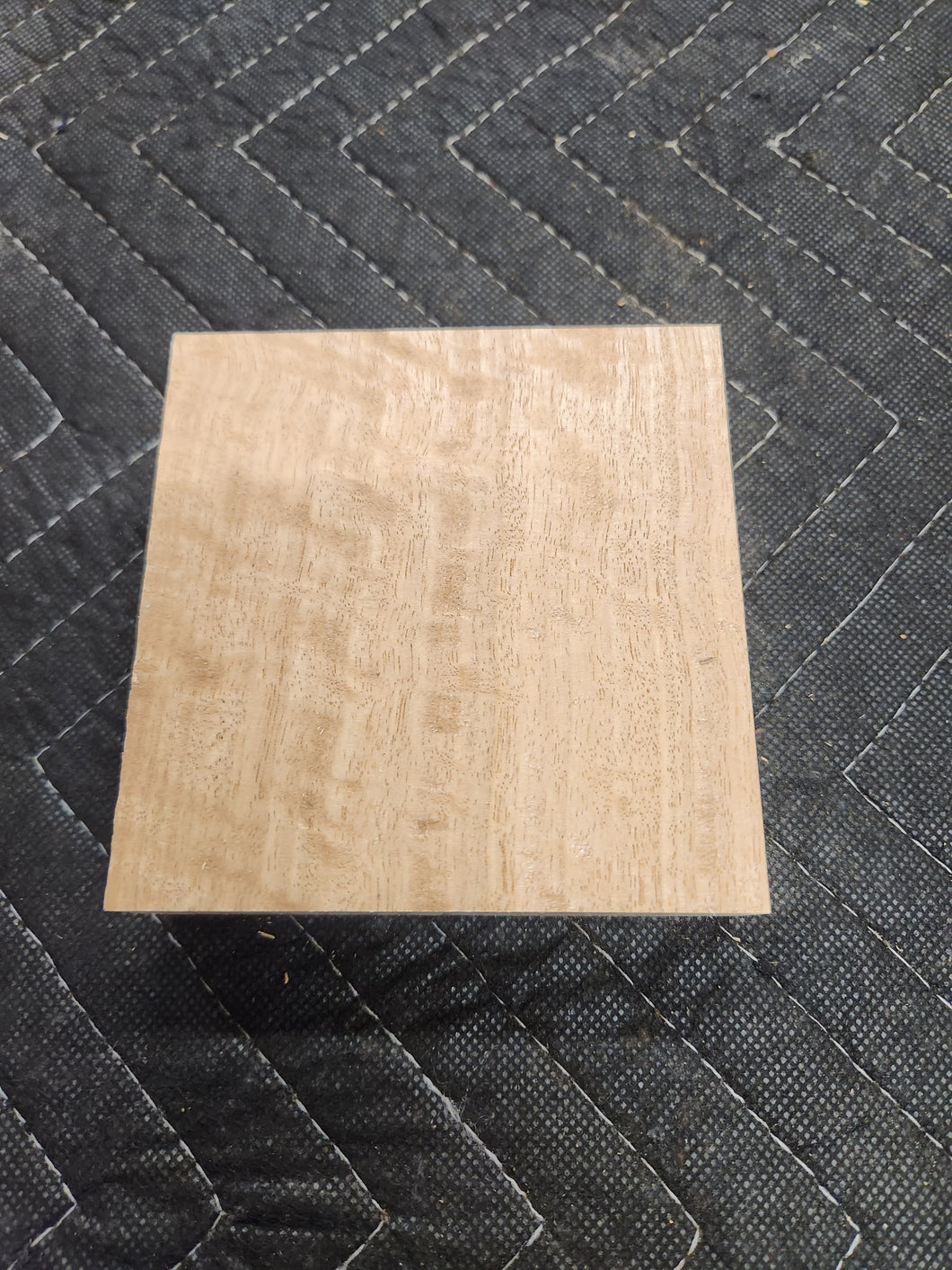 Eucalyptus Turkey Pot