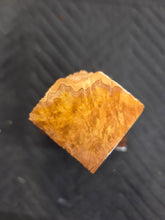 Brown Mallee