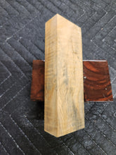 Horse Chestnut Curly Knife Scale