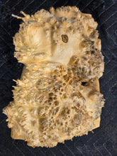Box Elder Burl Cap