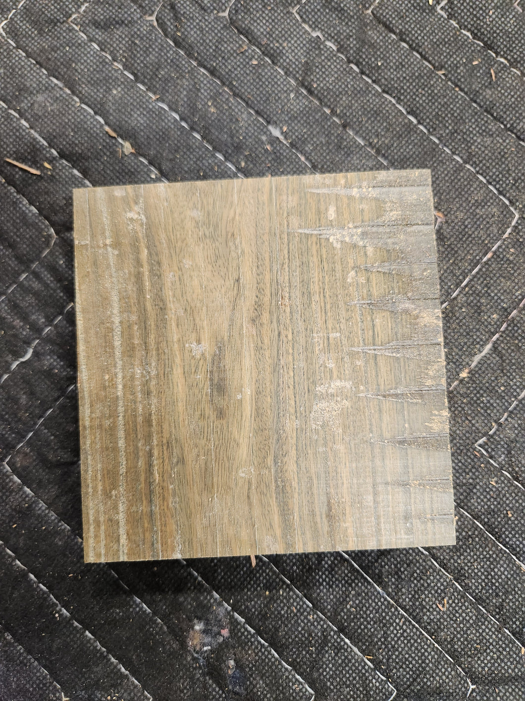 Lignum Vitae Genuine Turkey Pot