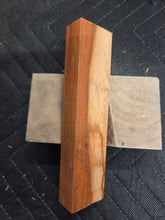 Padauk Knife Scale Marbled