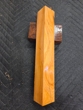 Apricot