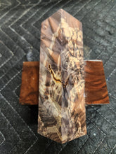 Stabilized Box Elder Burl