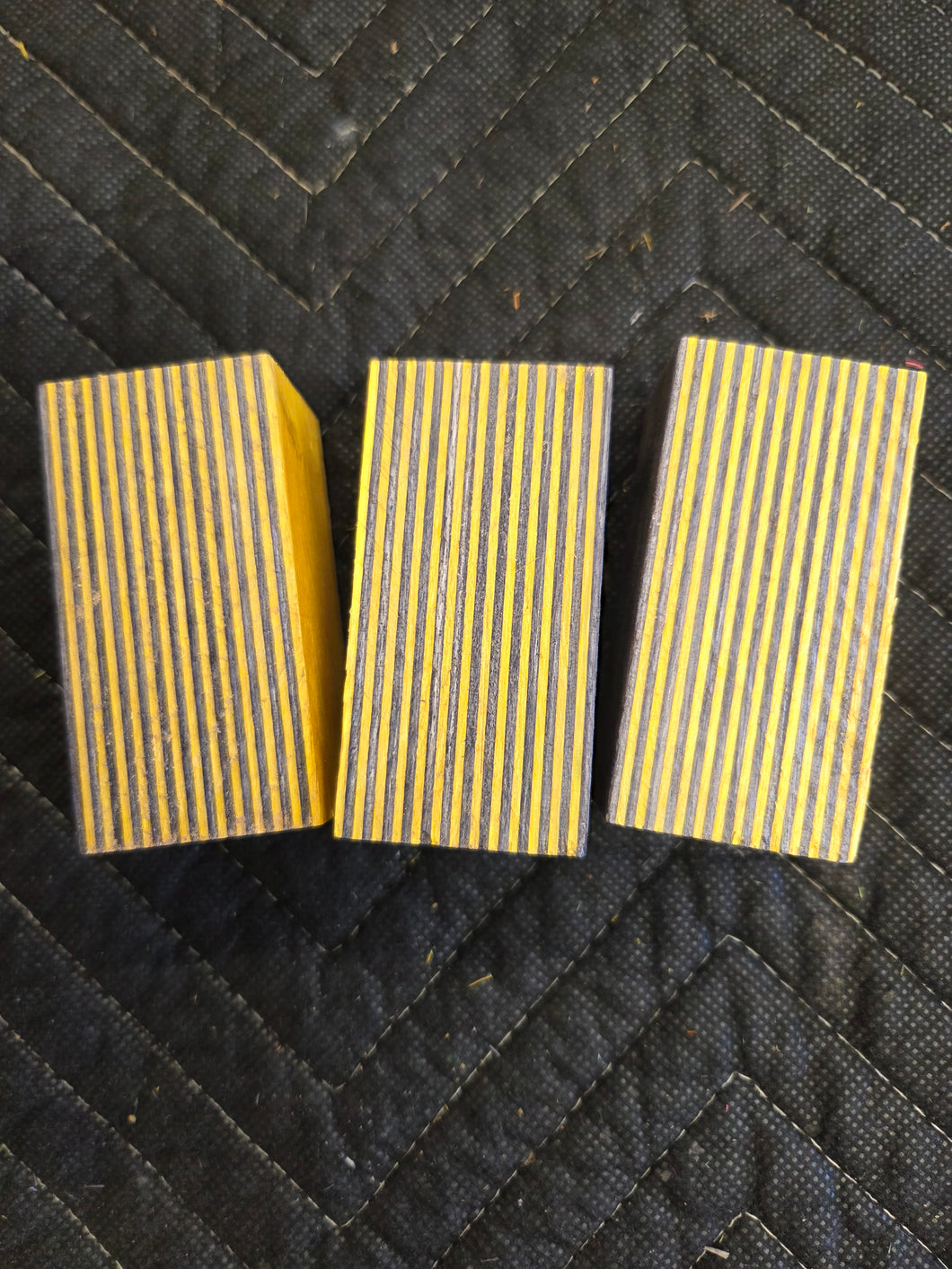 Bumble Bee Spectraply