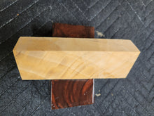 Horse Chestnut Curly Knife Scale