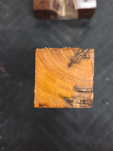 Apricot