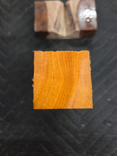 Apricot