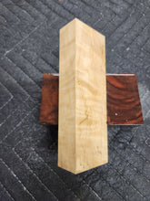 Horse Chestnut Curly Knife Scale