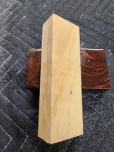 Horse Chestnut Knife Scale