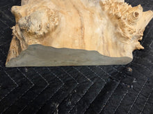 Box Elder Burl Cap