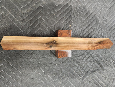 Black walnut