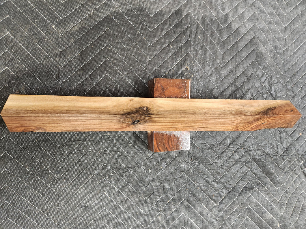 Black walnut