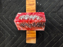 Pinecones Hybrid Bottlestopper