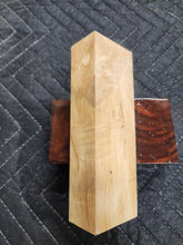 Horse Chestnut Curly Knife Scale