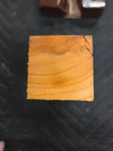 Apricot