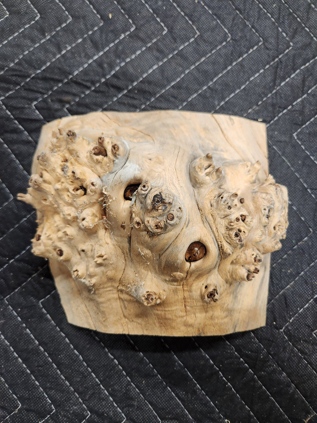 Box elder burl cap