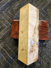 Box elder Burl