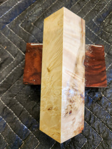 Box elder Burl