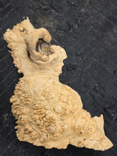 Box Elder Burl cap
