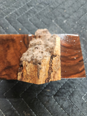 Casting Cherry burl