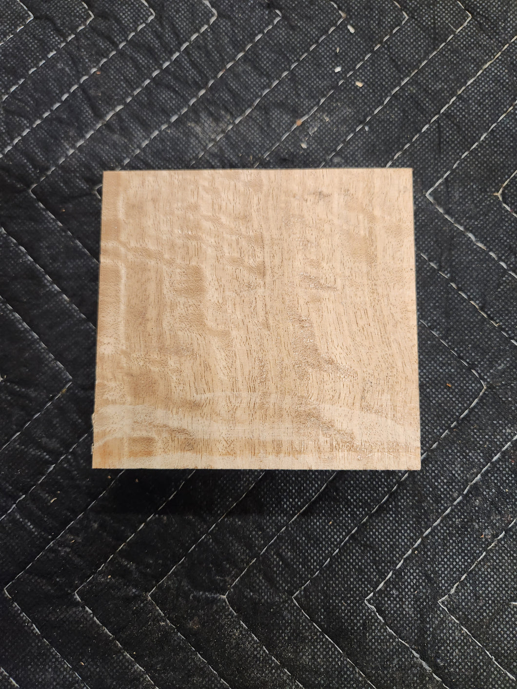 Eucalyptus Turkey Pot