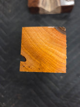 Apricot