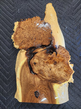 Russian olive burl slab