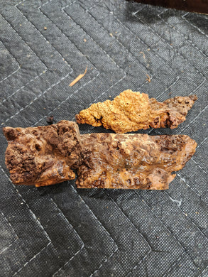 Casting Cherry burl