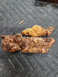 Casting Cherry burl