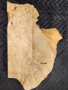 Box Elder Burl Slab