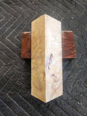 Box elder Burl