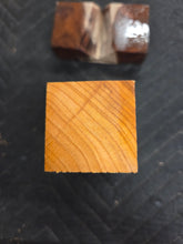 Apricot