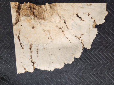 Box Elder Slab