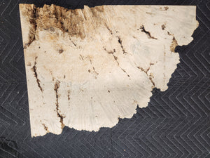 Box Elder Slab