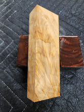 Horse Chestnut Curly Knife Scale