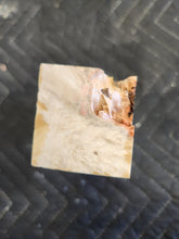 Box elder Burl