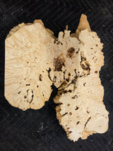 Box Elder Burl Slab