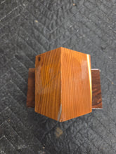 Russian Olive Hybrid